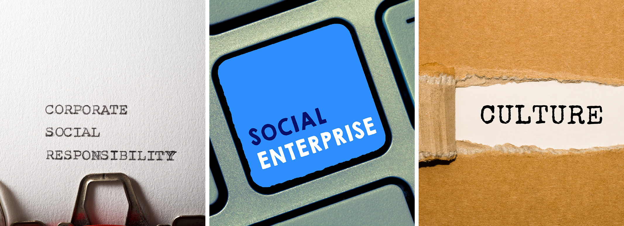 http://Ausdecom%20Social%20Enterprise